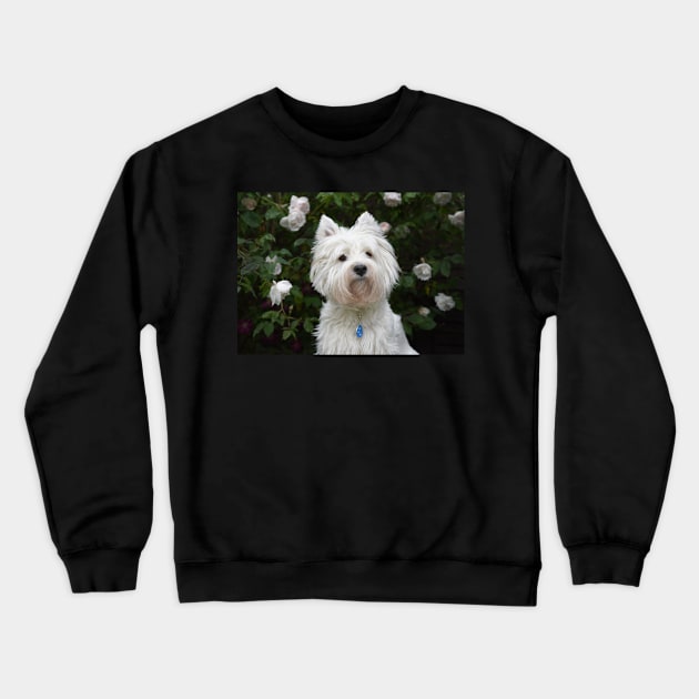 Westie in the floral garden Crewneck Sweatshirt by princess-pirate